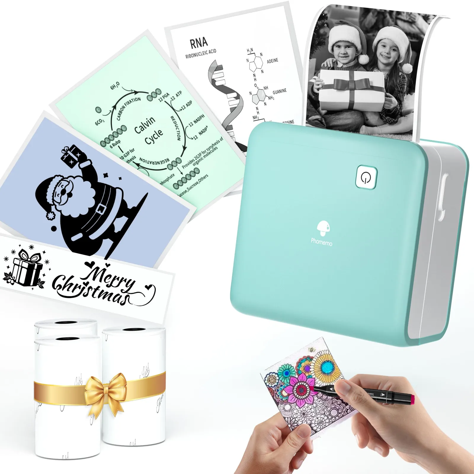 Phomemo M02 Pro vs Paperang P2