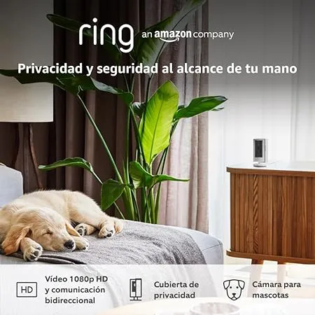 Ring Indoor Cam vs Blink Mini